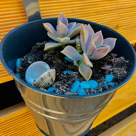 Taja Vortex * توراني