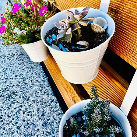 Taja Vortex * توراني