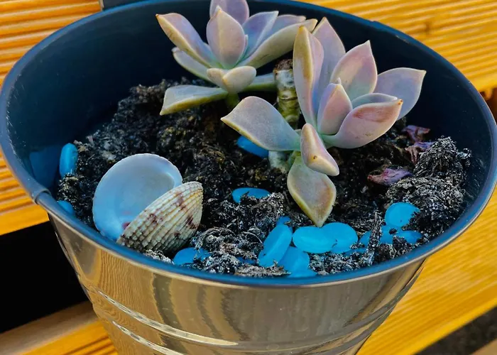 Taja Vortex * Турань